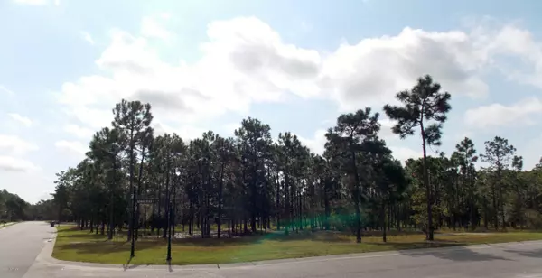 Southport, NC 28461,3222 Moss Hammock Wynd