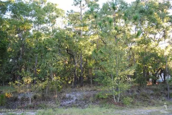 Southport, NC 28461,324 Holly DR