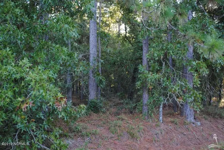 Southport, NC 28461,324 Holly DR