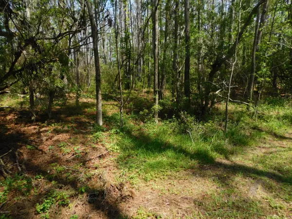 Smyrna, NC 28579,000 Will Pake RD