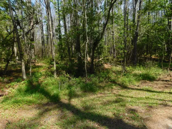 Smyrna, NC 28579,000 Will Pake RD
