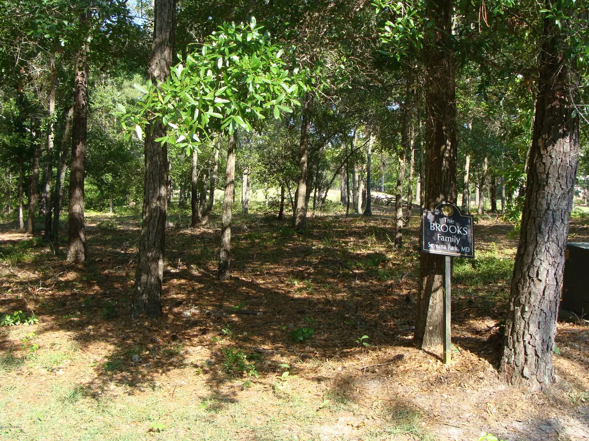 Ocean Isle Beach, NC 28469,525 Braeloch PT SW