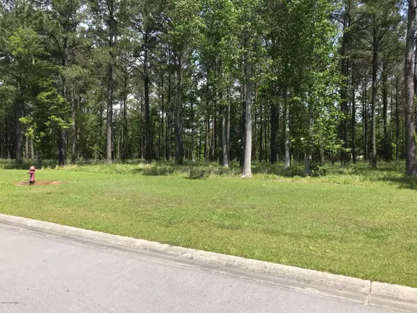 Oriental, NC 28571,160 Southern Plantation Drive S