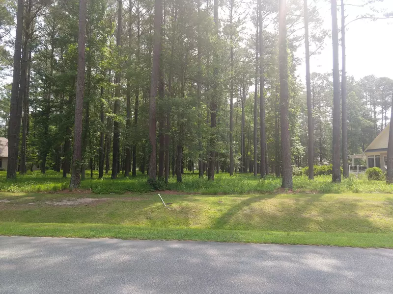 Lot 50 Cypress Landing TRL, Chocowinity, NC 27817