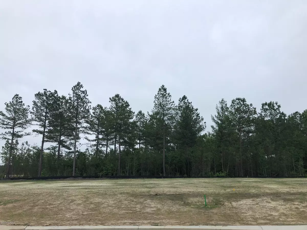 Leland, NC 28451,3415 Bitterns Branch