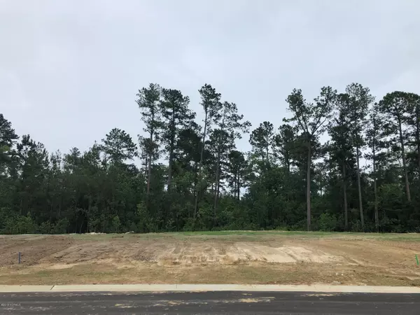 3451 Bitterns Branch, Leland, NC 28451