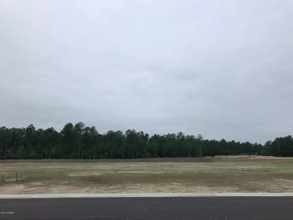 1828 Angel Pond LN, Leland, NC 28451