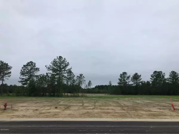 3432 Bitterns Branch, Leland, NC 28451