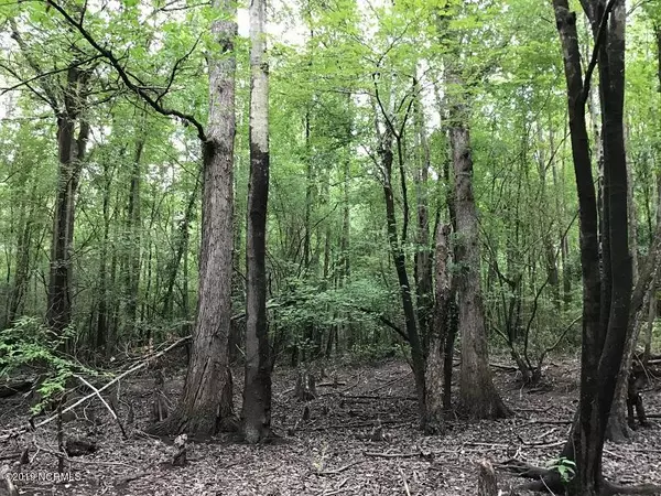 Garland, NC 28441,0 Lisbon Bridge RD