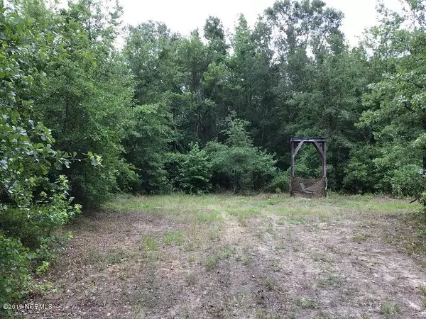 Garland, NC 28441,0 Lisbon Bridge RD