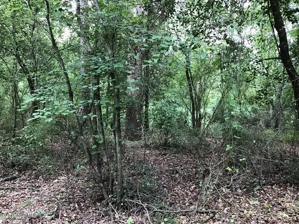 Garland, NC 28441,0 Lisbon Bridge RD