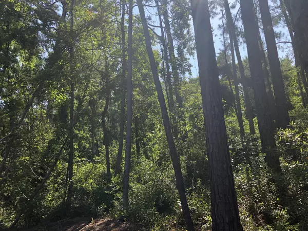 Southport, NC 28461,3894 Hearndon LN