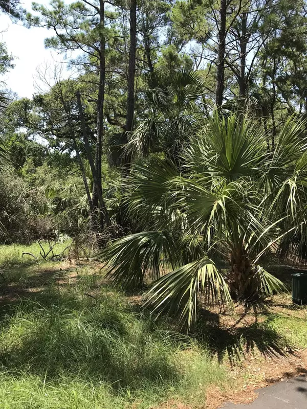 Bald Head Island, NC 28461,4 Spanish Needles Court