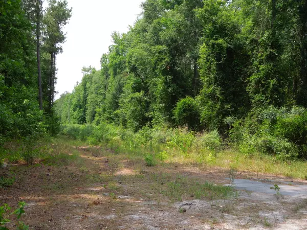 Atkinson, NC 28421,5 Beattys Bridge RD