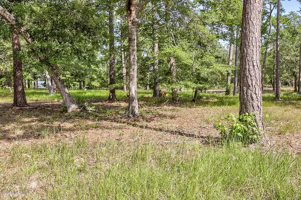 Shallotte, NC 28470,Lot 12 Loblolly DR SW