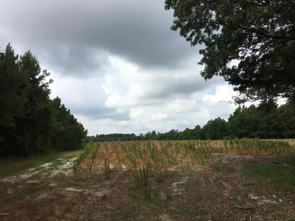 Faison, NC 28341,2603 Goshen Church RD
