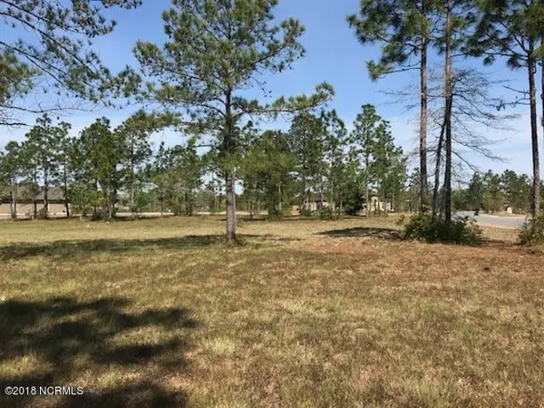 Leland, NC 28451,8643 Hammocks Cove TRL NE