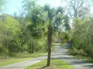 Sunset Beach, NC 28468,9042 Ocean Harbour Golf Club RD SW