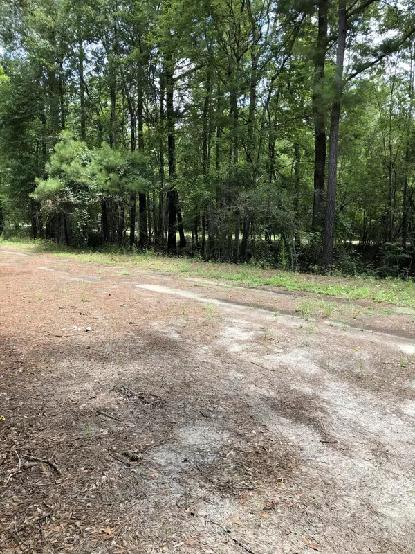 Burgaw, NC 28425,5 Beaver TRL