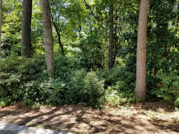 Lot 5 & 6 Pamilco DR, Washington, NC 27889