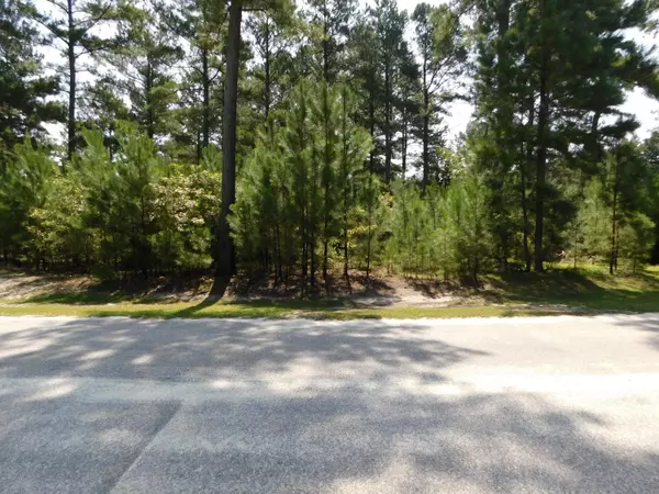 Wagram, NC 28396,21001 River Birch DR