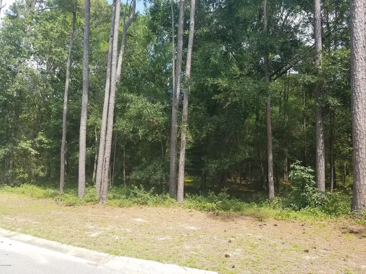 Supply, NC 28462,2034 Ferry Landing DR SW