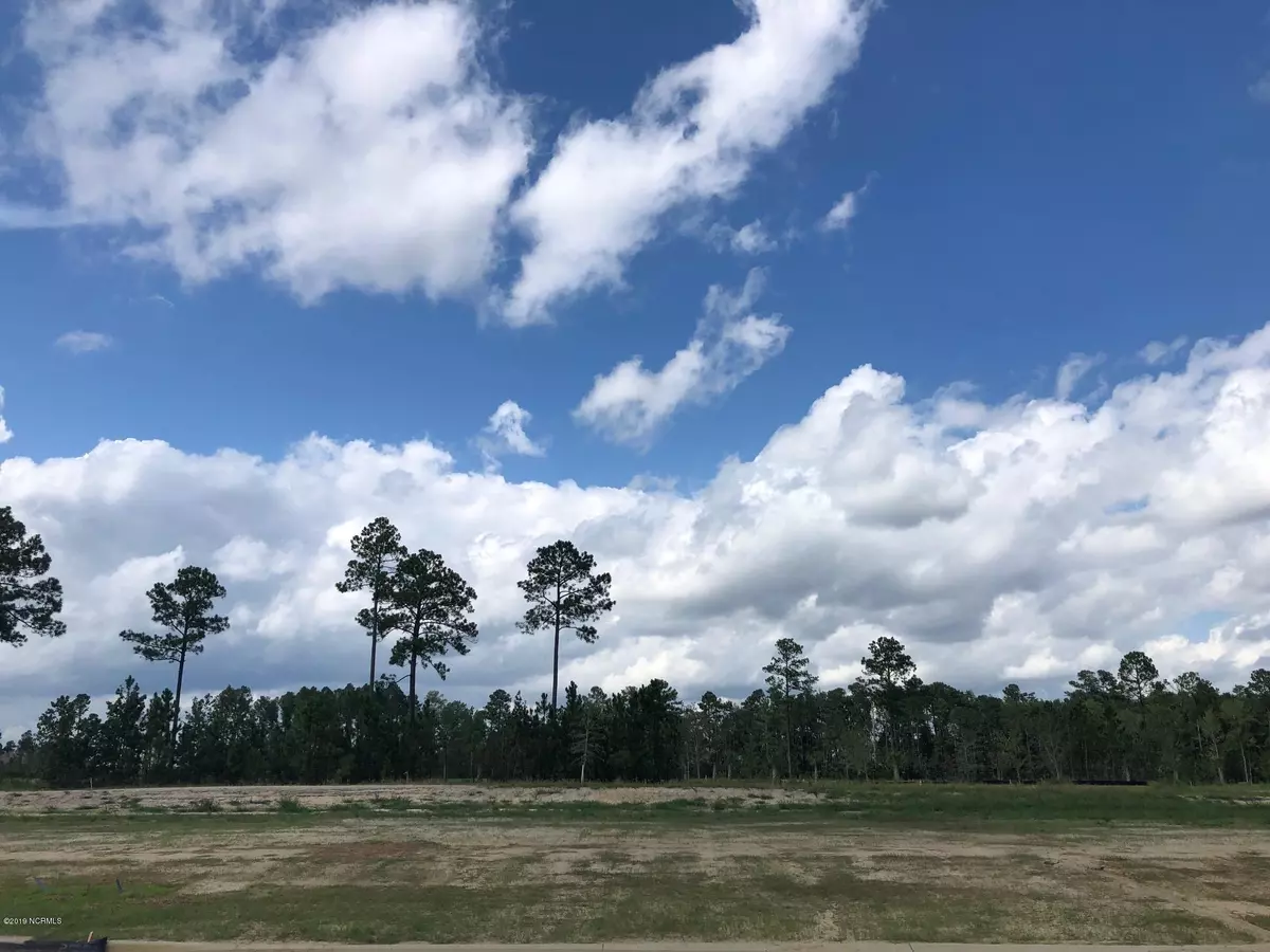 Leland, NC 28451,5310 Barcroft Lake DR