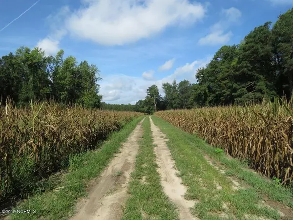 Teachey, NC 28464,0 Chicken Neck RD