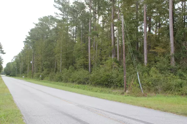 Burgaw, NC 28425,Lot 3 Henry Brown RD