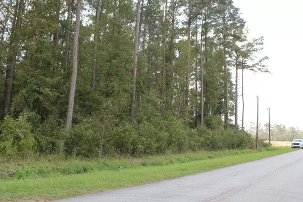 Burgaw, NC 28425,Lot 3 Henry Brown RD