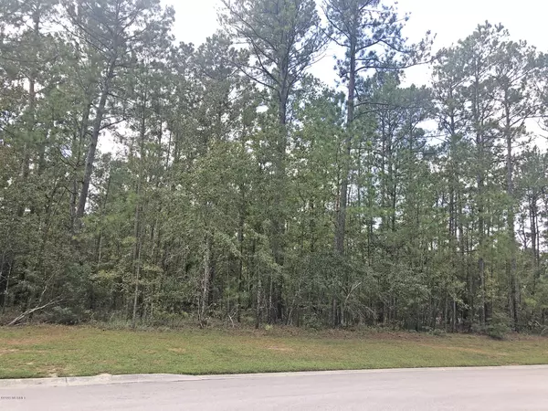 Leland, NC 28451,Tbd Wildlife DR SE