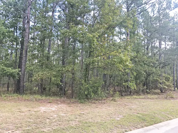 Leland, NC 28451,Tbd Wildlife DR SE