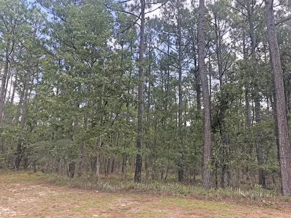 Leland, NC 28451,Tbd Wildlife DR SE