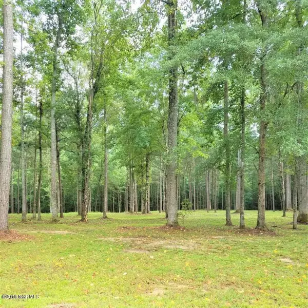 Lot 4 Freshwater DR, Blounts Creek, NC 27814