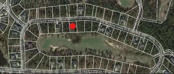 Shallotte, NC 28470,367 Laurel Valley DR