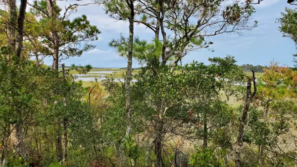 Bald Head Island, NC 28461,5 Dogwood Ridge Road