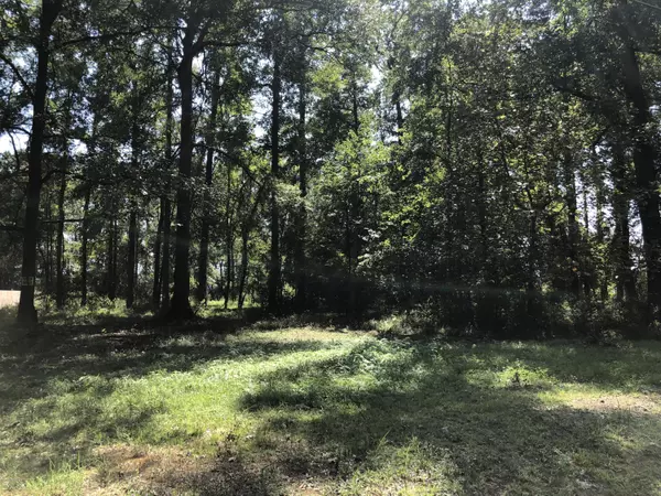 0 Old Creek Road, Greenville, NC 27834