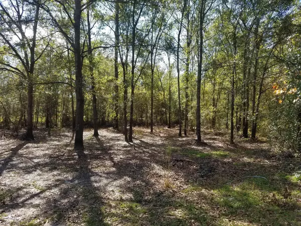 Atkinson, NC 28421,631 Slocum TRL