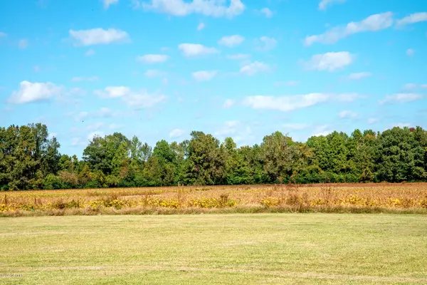 Farmville, NC 27828,4638 Toddy RD