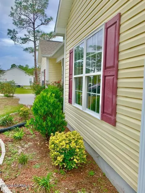 Maple Hill, NC 28454,105 Boysenberry Fields RD