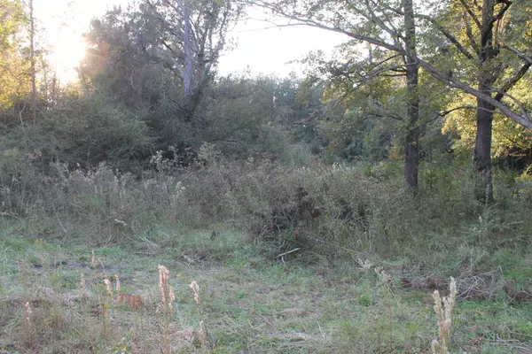 Whiteville, NC 28472,1970 Thompson Town R RD