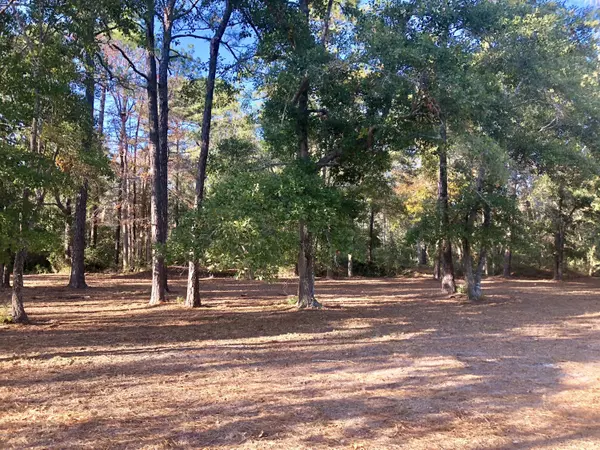 Southport, NC 28461,2354 St James DR SE