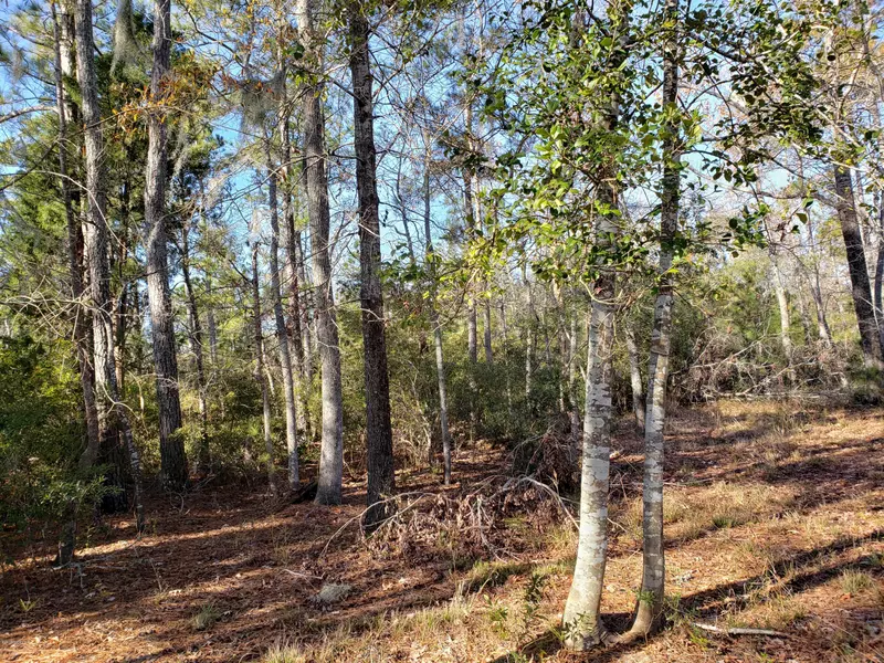 Lot 2 Muse LN, Belhaven, NC 27810