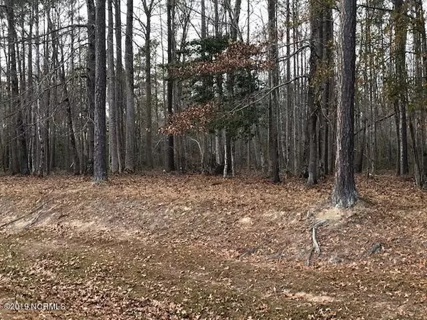 Blounts Creek, NC 27814,300 Freshwater DR