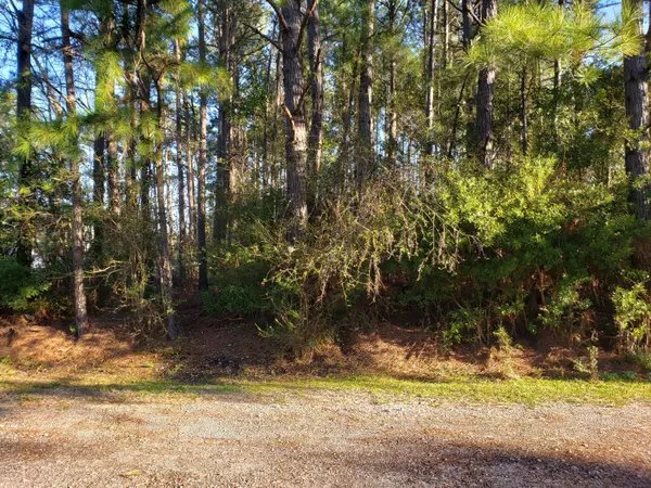 4742 Four Seasons WAY NW, Ash, NC 28420