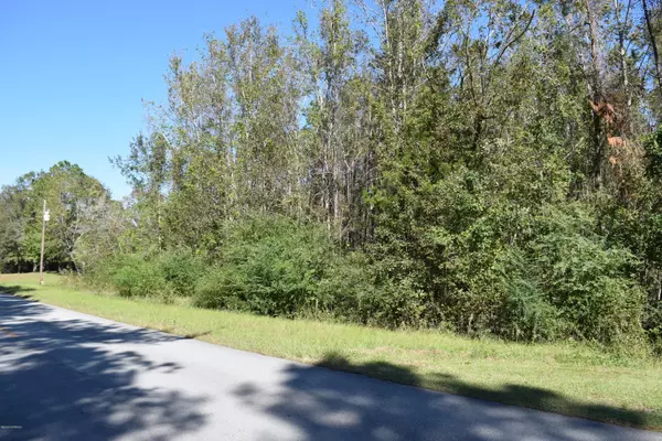 Ocean Isle Beach, NC 28469,118 Mintz Cemetery RD NW