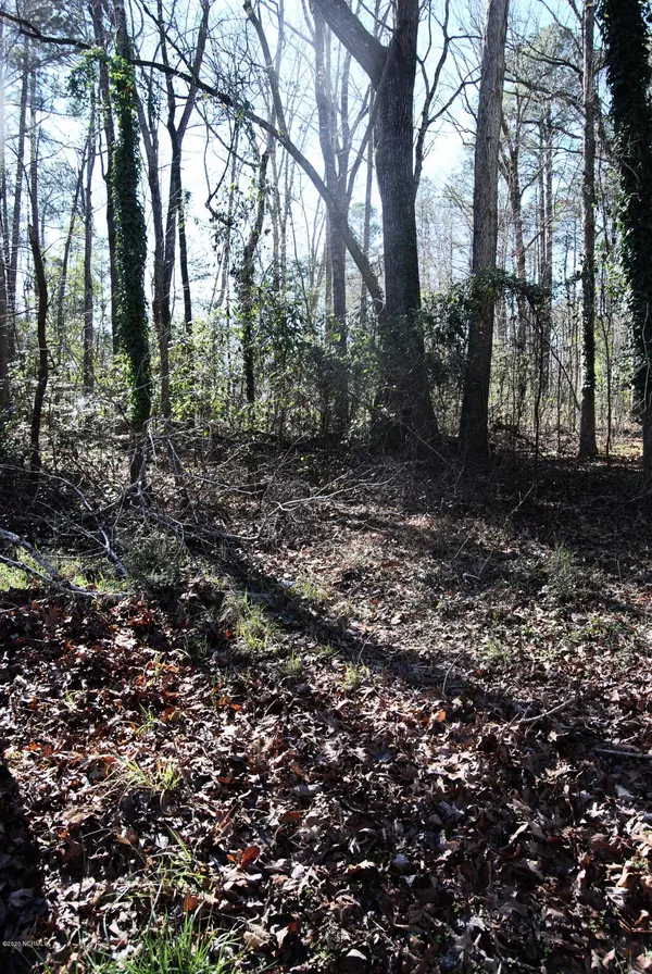 Blounts Creek, NC 27814,Lot 4 Oak DR