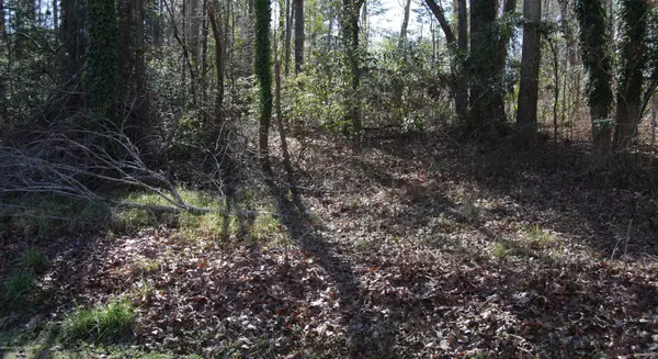 Blounts Creek, NC 27814,Lot 4 Oak DR