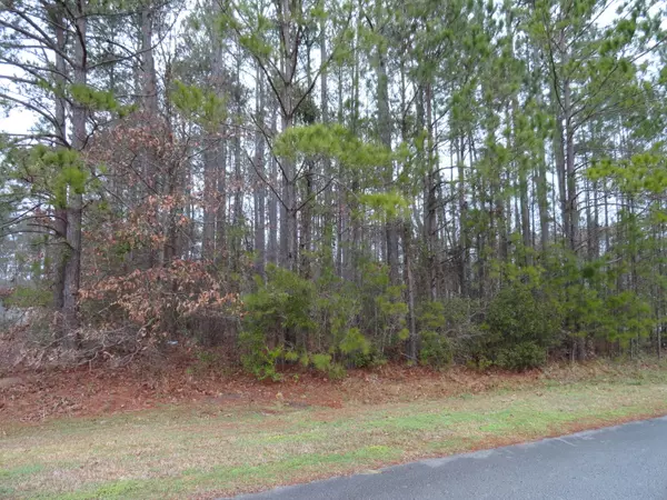 Havelock, NC 28532,202 Jacqueline Drive