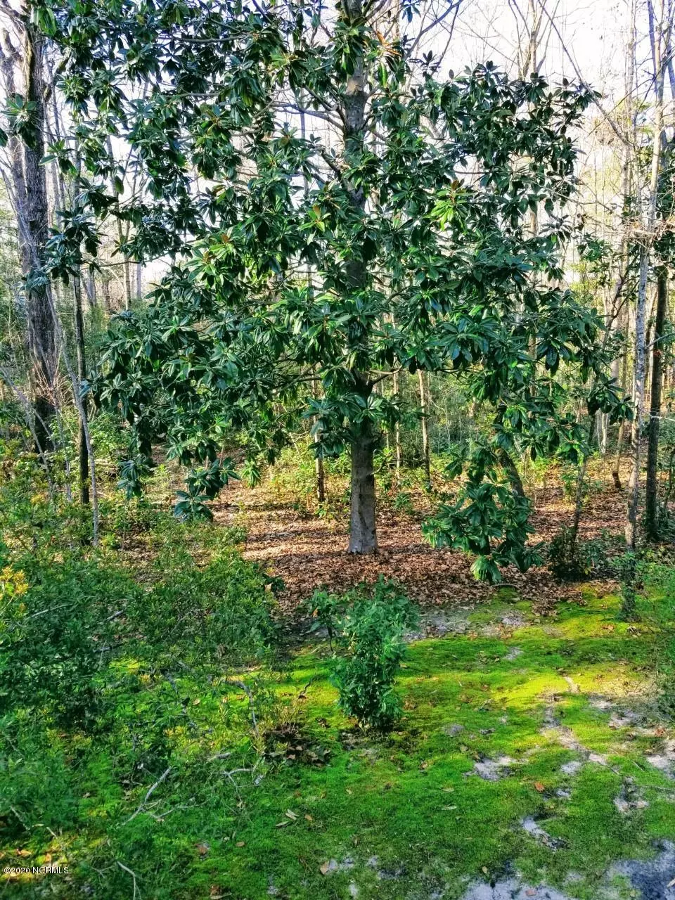 Hampstead, NC 28443,Lot  28 E High Bluff DR